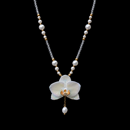 White Moth Orchid